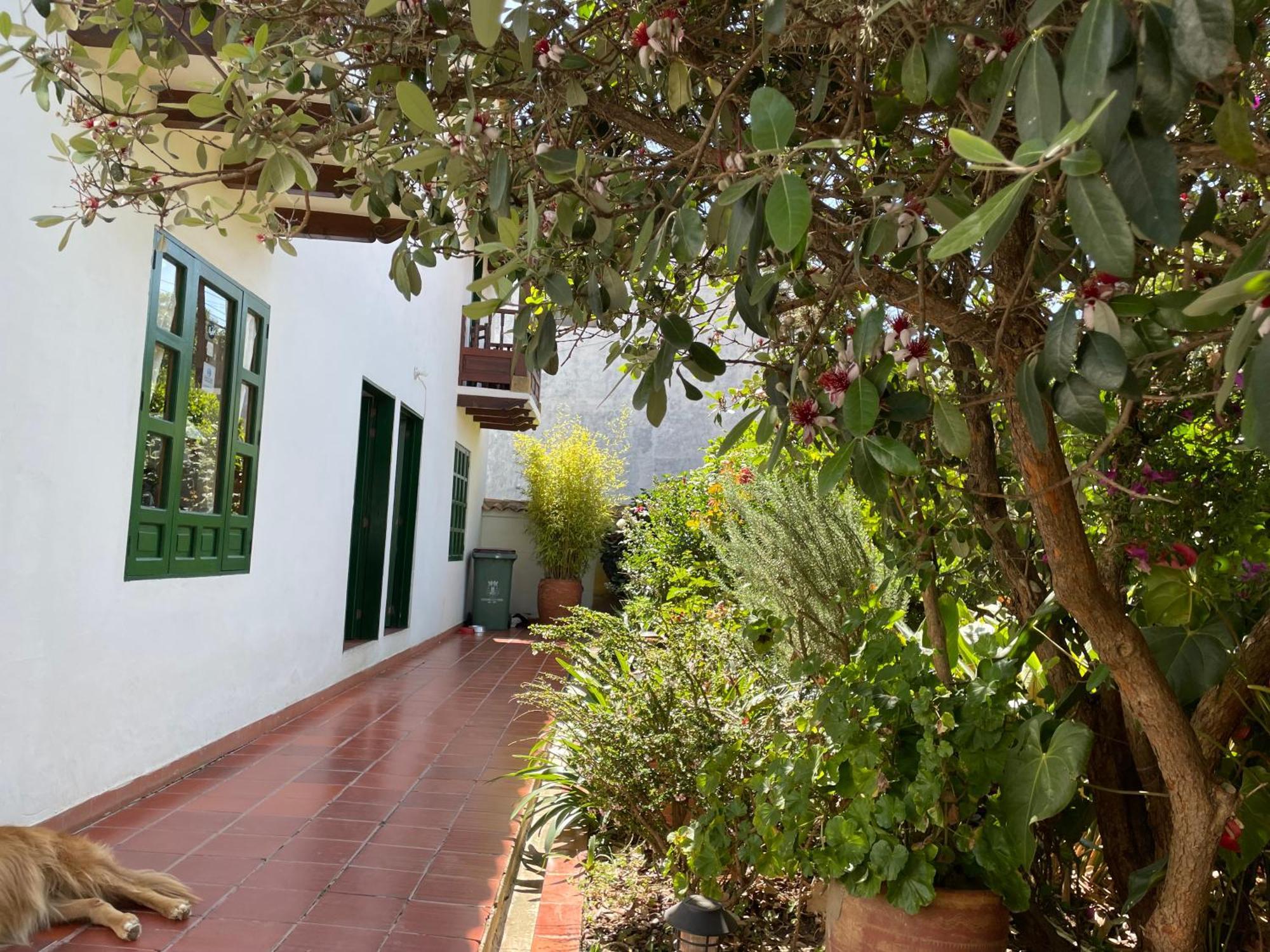 Hostal El Pino Villa de Leyva Eksteriør bilde